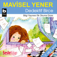 . Dedektif Birce
