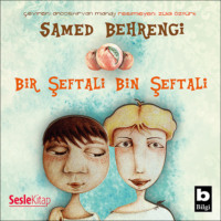 . Bir Ölünün Anıları