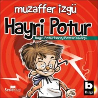 . Hayrı Potur