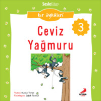 Nuran Turan. Kır Öyküleri – Ceviz yağmuru