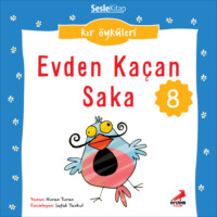 Nuran Turan. Kır Öyküleri – Evden kaçan saka