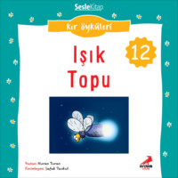 . Kır Öyküleri – Işık topu