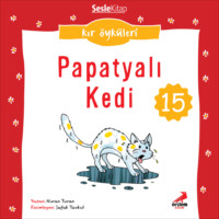 . Kır ?yk?leri – Papatyalı kedi