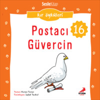 Nuran Turan. Kır Öyküleri – Postacı güvercin