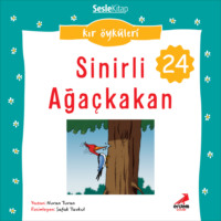 . Kır Öyküleri – Sinirli ağaçkakan