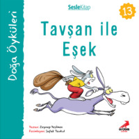 Nuran Turan. Kır Öyküleri – Şakacı saksağanlar