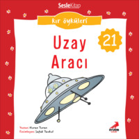 Nuran Turan. Kır Öyküleri – Uzay aracı
