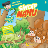 Osman Koca. Nanu'nun Maceraları 9 – Sincap Nanu