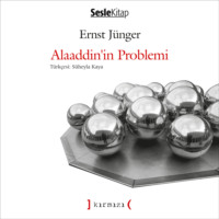 Aslan Özden. Aklını Arayan Çocuk