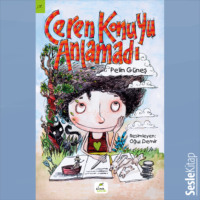 . Ceren Konuyu Anlamadı