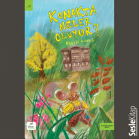 . Konakta Neler Oluyor?