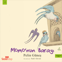 . Momo'nun Sarayı