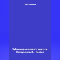 Газиз Григорьевич Сулейманов. Зубры директорского корпуса. Халиуллин А.Х. – Хозяин