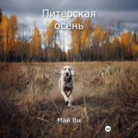 . Питерская осень