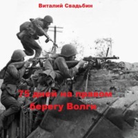 Виталий Свадьбин. 75 дней на правом берегу Волги