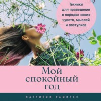 . Мой спокойный год: Техники для приведения в порядок своих чувств, мыслей и поступков