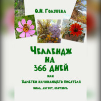 . ЧЕЛЛЕНДЖ НА 366 ДНЕЙ или Заметки начинающего писателя. Часть 3