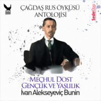 Иван Бунин. Çağdaş Rus Öyküleri Antolojisi 6 - Gençlik ve Yaşlılık, Meçhul Dost