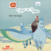 . Karışık Kuruşuk Masallar 3 - Tulpar ve Pegasus
