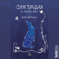 . Cam Tavşan Bir Hıdrellez Günü