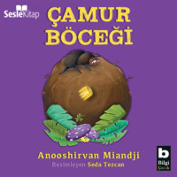 . Çamur Böceği