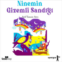 Arif Tuncer Avcı. Ninemin Gizemli Sandığı