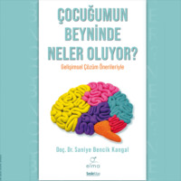 Dr. Saniye Bencik Kangal. Çocuğumun Beyninde Neler Oluyor?
