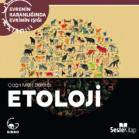 . EVRENİN KARANLIĞINDA EVRİMİN IŞIĞI BÖLÜM 8 / ANTROPOLOJİ - İnsanı Anlamak...
