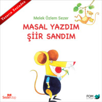 Melek ?zlem Sezer. Masal Yazdım Şiir Sandım