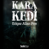 . Kara Kedi