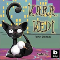 . Kara Kedi
