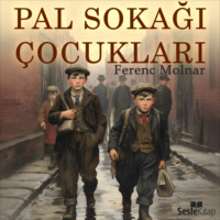 . Pal Sokağı Çocukları
