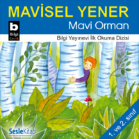 Mavisel Yener. Mavi Orman