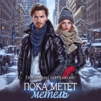 . Пока метёт метель