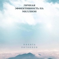 Никита Литвинов. Личная эффективность на миллион