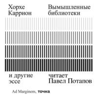 Хорхе Каррион. Вымышленные библиотеки