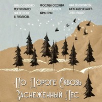 . По дороге сквозь заснеженнный лес