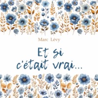 Марк Леви. Между небом и землей / Et si cetait vrai