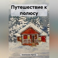 . Путешествие к полюсу