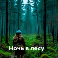 . Ночь в лесу