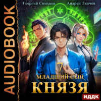 . Младший сын князя. Книга 7