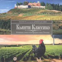. Кьянти Классико: В поисках самого благородного вина Тосканы