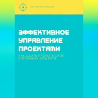 . Эффективное управление проектами. Как сдать проект в срок и в рамках бюджета