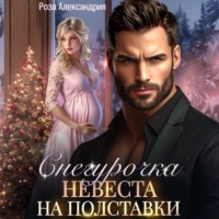 . Снегурочка. Невеста на полставки