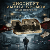 Илья Петрухин. Институт имени Бромса