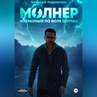 . Молнер. Избранный по воле случая
