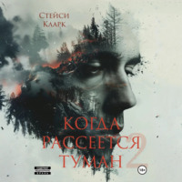 . Когда рассеется туман. Книга 2