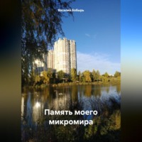 Василий Бобырь. Память моего микромира