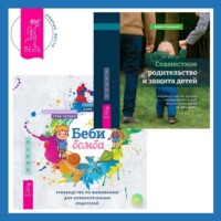 . Беби-бомба. Руководство по выживанию для новоиспеченных родителей. Совместное родительство и защита детей: руководство по теории привязанности для воспитания детей на два дома