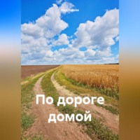 Нил Плёсов. По дороге домой